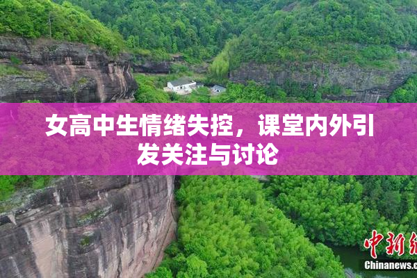 女高中生情绪失控，课堂内外引发关注与讨论