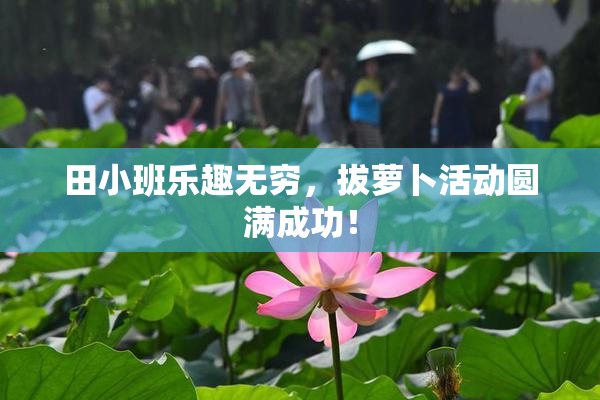 田小班乐趣无穷，拔萝卜活动圆满成功！