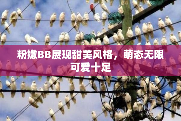 粉嫩BB展现甜美风格，萌态无限可爱十足