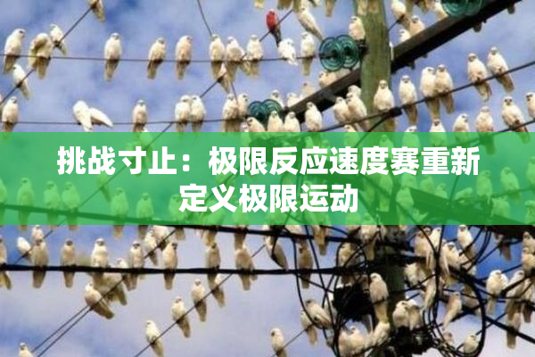 挑战寸止：极限反应速度赛重新定义极限运动