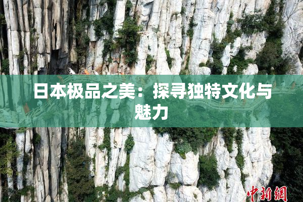 日本极品之美：探寻独特文化与魅力