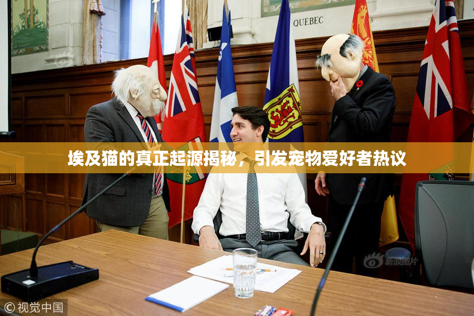 埃及猫的真正起源揭秘，引发宠物爱好者热议