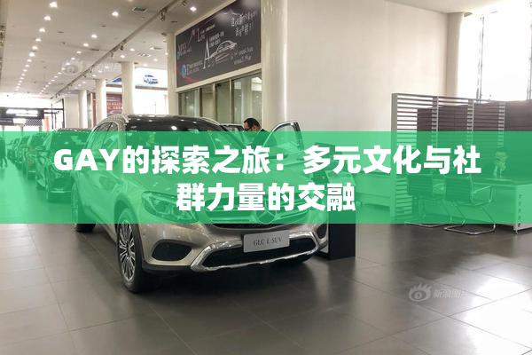GAY的探索之旅：多元文化与社群力量的交融