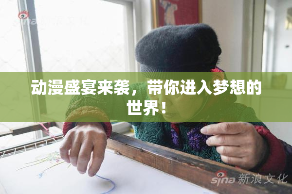 动漫盛宴来袭，带你进入梦想的世界！