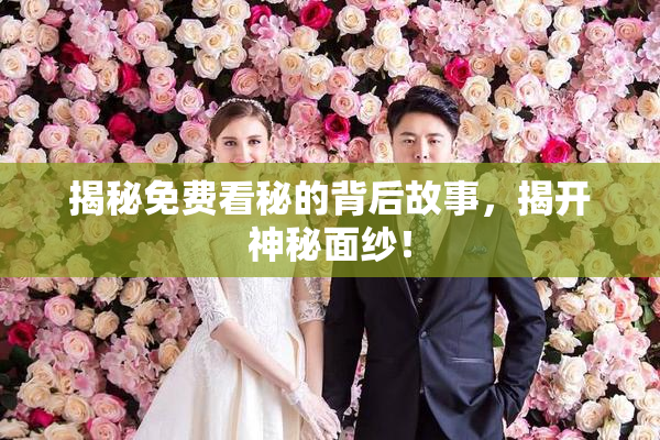 揭秘免费看秘的背后故事，揭开神秘面纱！