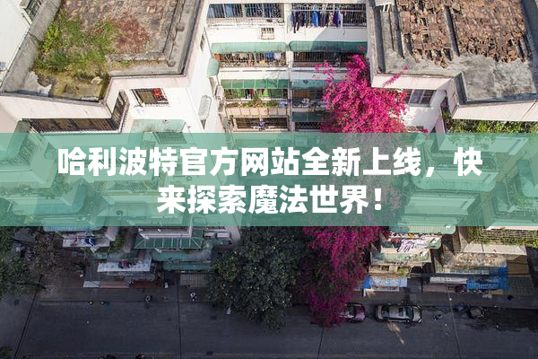 哈利波特官方网站全新上线，快来探索魔法世界！
