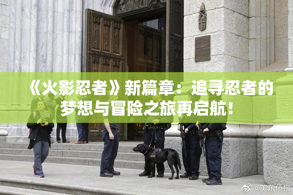 《火影忍者》新篇章：追寻忍者的梦想与冒险之旅再启航！
