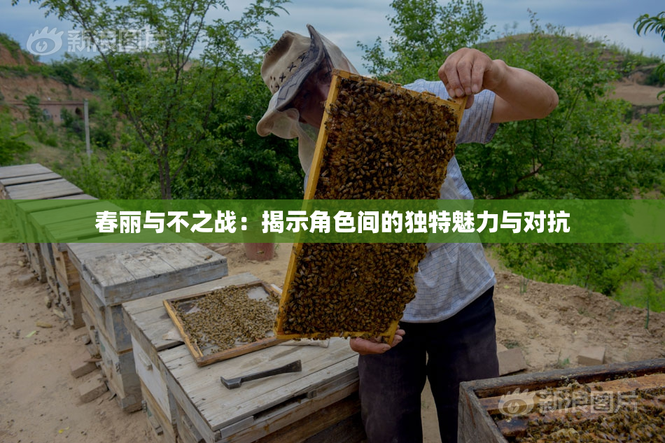 春丽与不之战：揭示角色间的独特魅力与对抗