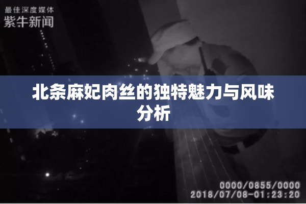 北条麻妃肉丝的独特魅力与风味分析