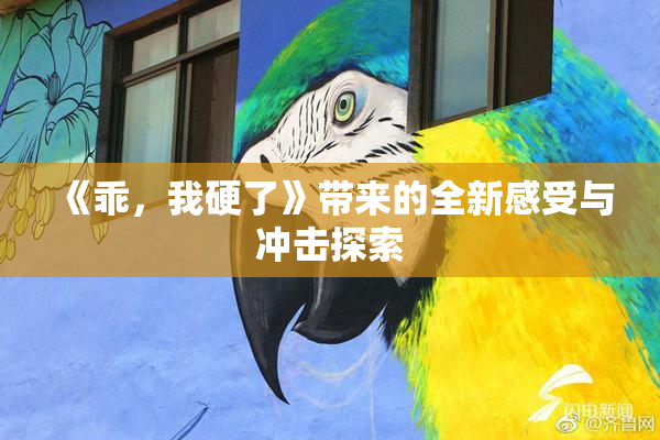 《乖，我硬了》带来的全新感受与冲击探索