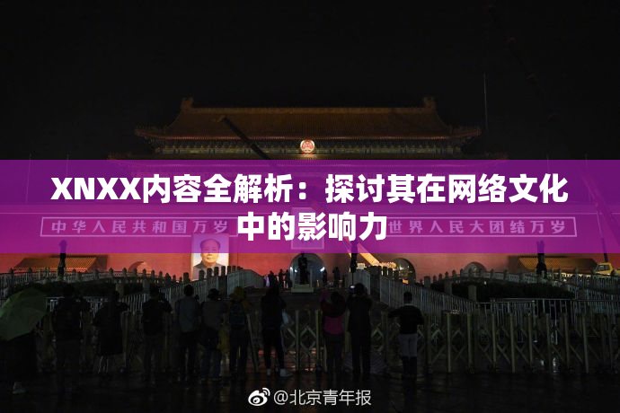 XNXX内容全解析：探讨其在网络文化中的影响力
