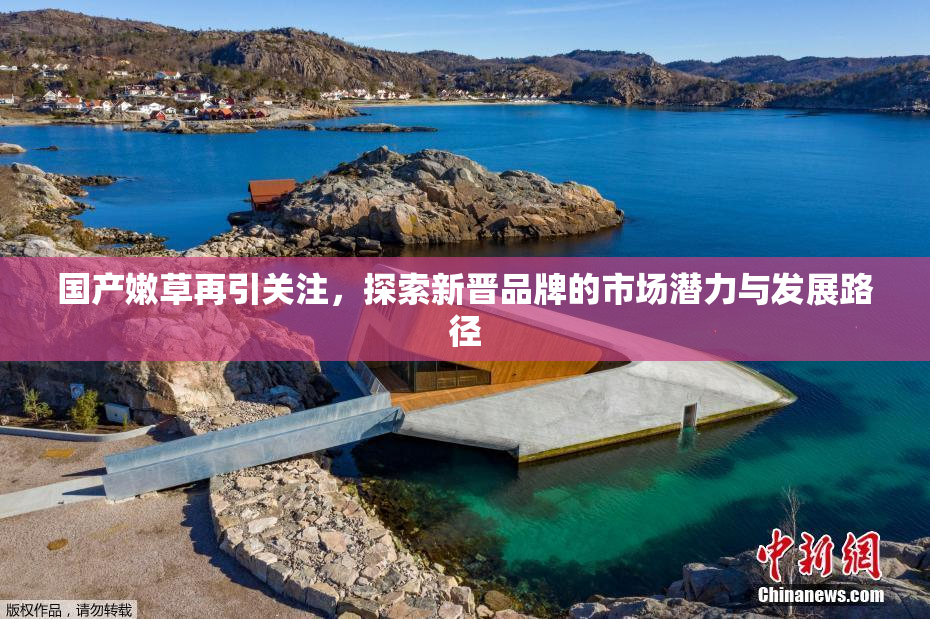 国产嫩草再引关注，探索新晋品牌的市场潜力与发展路径