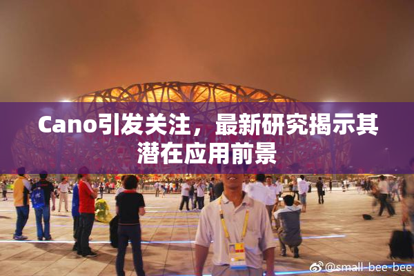 Cano引发关注，最新研究揭示其潜在应用前景