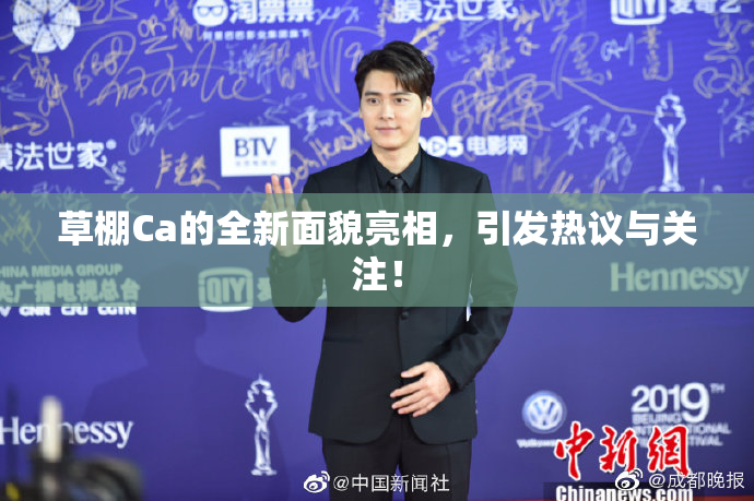 草棚Ca的全新面貌亮相，引发热议与关注！