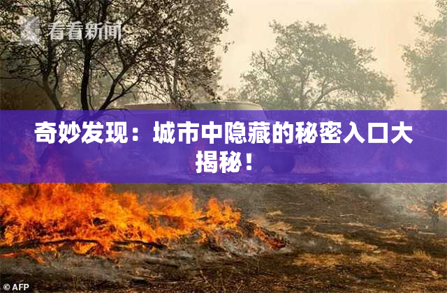 奇妙发现：城市中隐藏的秘密入口大揭秘！