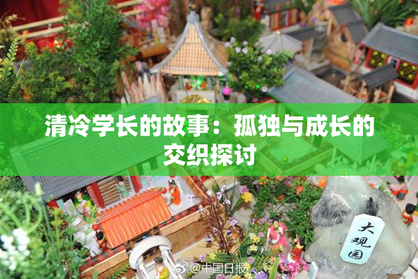 清冷学长的故事：孤独与成长的交织探讨