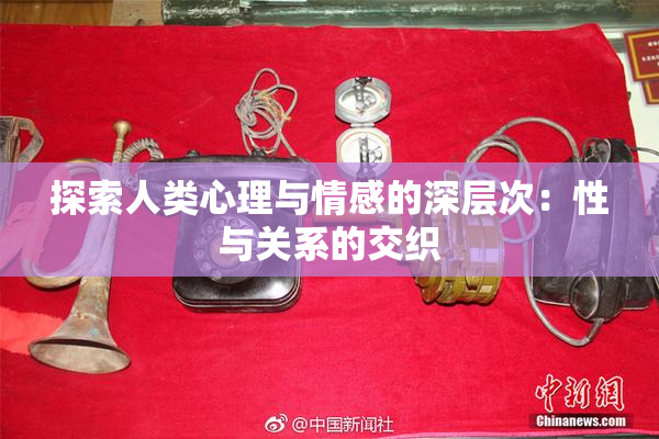 探索人类心理与情感的深层次：性与关系的交织