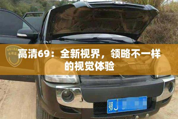 高清69：全新视界，领略不一样的视觉体验