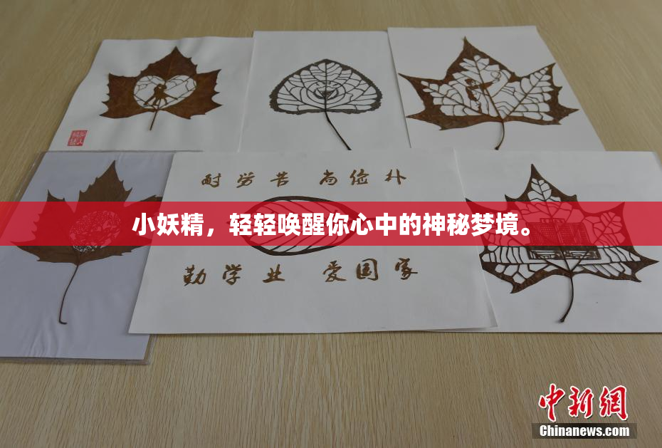 小妖精，轻轻唤醒你心中的神秘梦境。