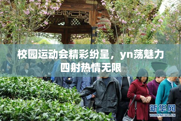 校园运动会精彩纷呈，yn荡魅力四射热情无限