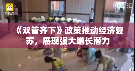 《双管齐下》政策推动经济复苏，展现强大增长潜力