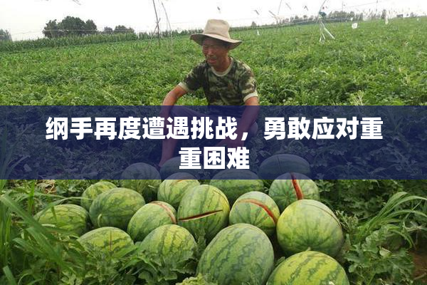 纲手再度遭遇挑战，勇敢应对重重困难