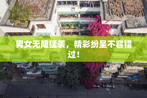 男女无阻猛袭，精彩纷呈不容错过！