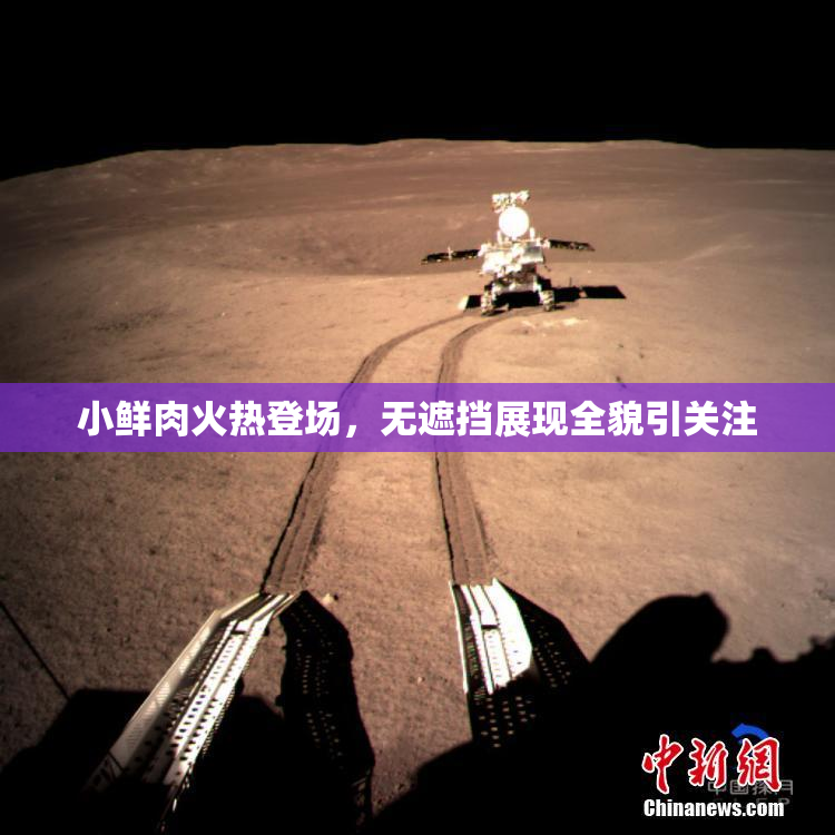 小鲜肉火热登场，无遮挡展现全貌引关注