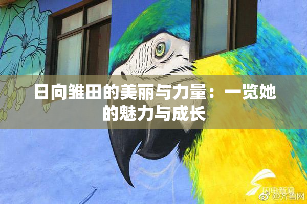 日向雏田的美丽与力量：一览她的魅力与成长