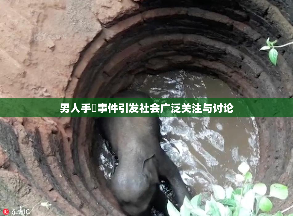 男人手婬事件引发社会广泛关注与讨论