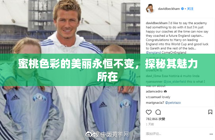 蜜桃色彩的美丽永恒不变，探秘其魅力所在