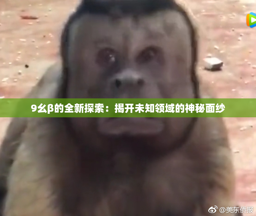 9幺β的全新探索：揭开未知领域的神秘面纱