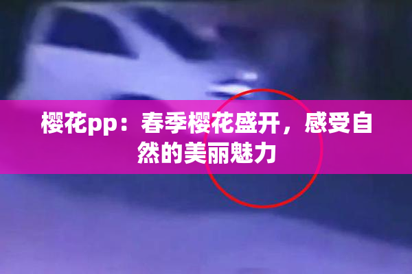 樱花pp：春季樱花盛开，感受自然的美丽魅力