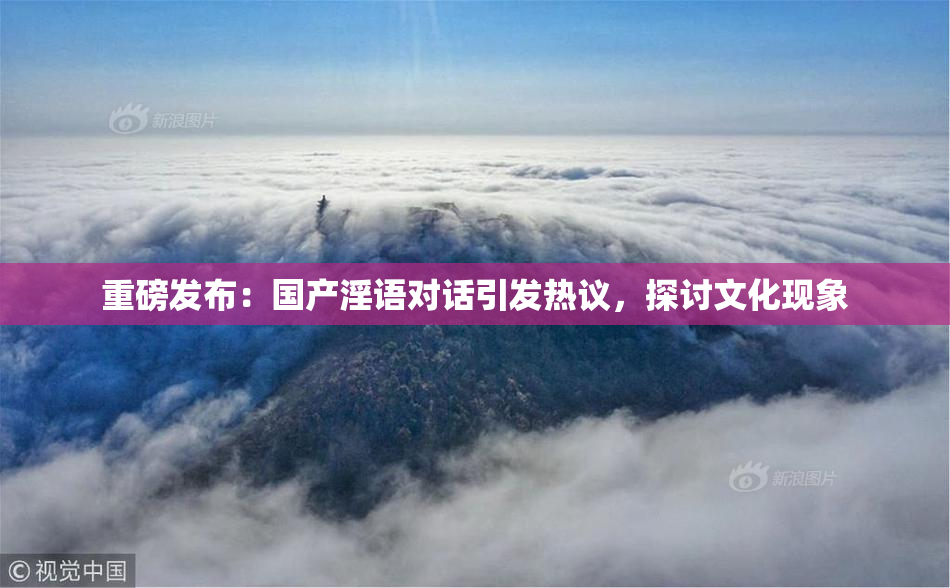 重磅发布：国产淫语对话引发热议，探讨文化现象