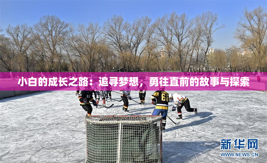 小白的成长之路：追寻梦想，勇往直前的故事与探索