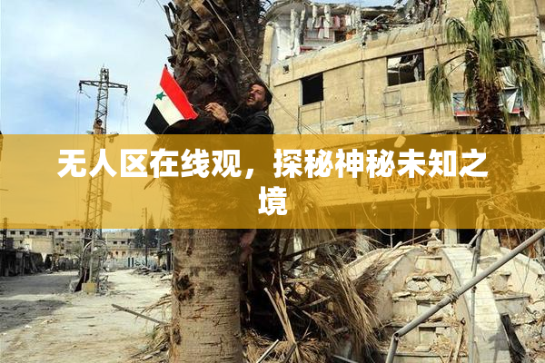 无人区在线观，探秘神秘未知之境