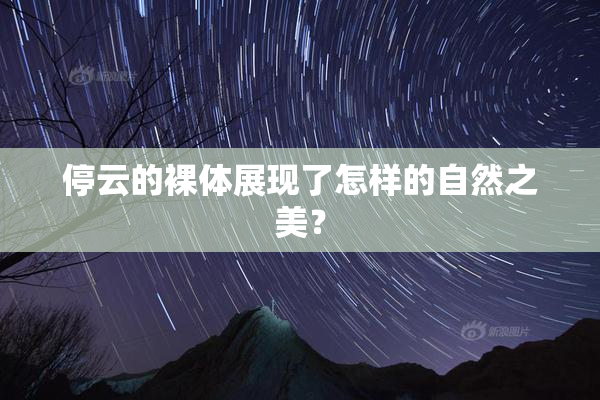 停云的裸体展现了怎样的自然之美？