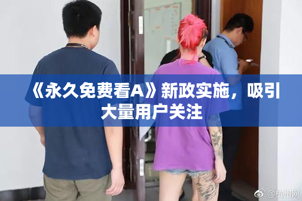 《永久免费看A》新政实施，吸引大量用户关注