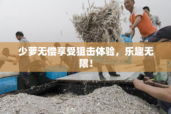 少萝无偿享受狙击体验，乐趣无限！