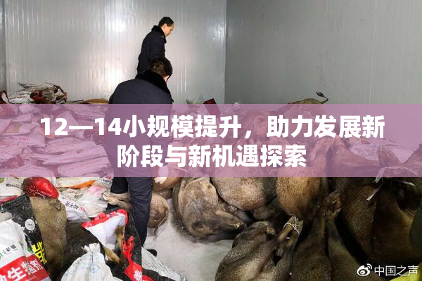 12—14小规模提升，助力发展新阶段与新机遇探索