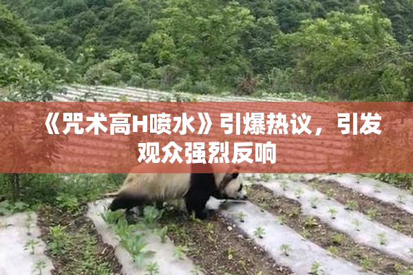 《咒术高H喷水》引爆热议，引发观众强烈反响