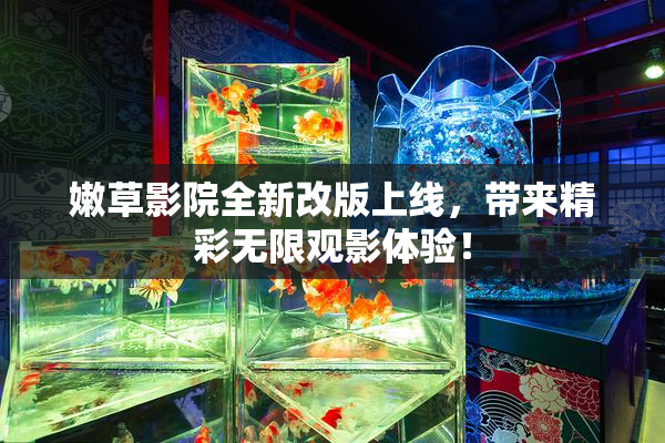 嫩草影院全新改版上线，带来精彩无限观影体验！
