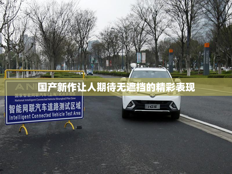 国产新作让人期待无遮挡的精彩表现