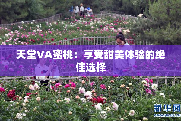 天堂VA蜜桃：享受甜美体验的绝佳选择