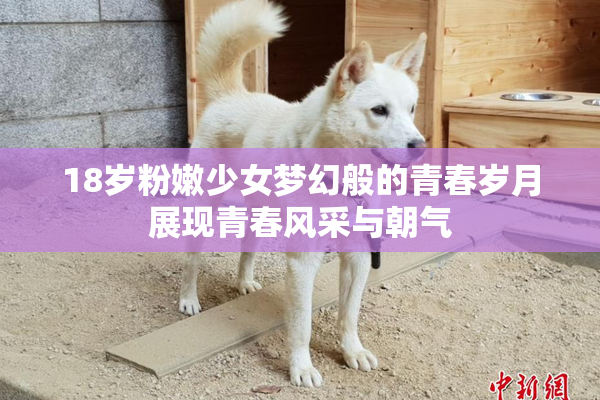 18岁粉嫩少女梦幻般的青春岁月展现青春风采与朝气