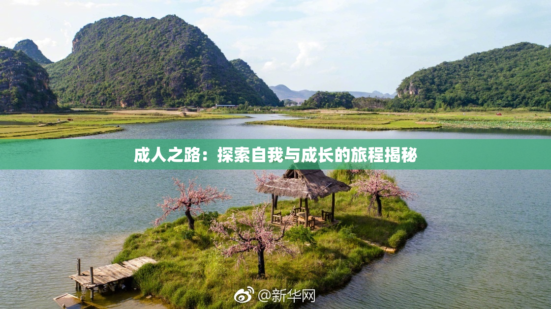 成人之路：探索自我与成长的旅程揭秘