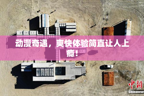 动漫奇遇，爽快体验简直让人上瘾！