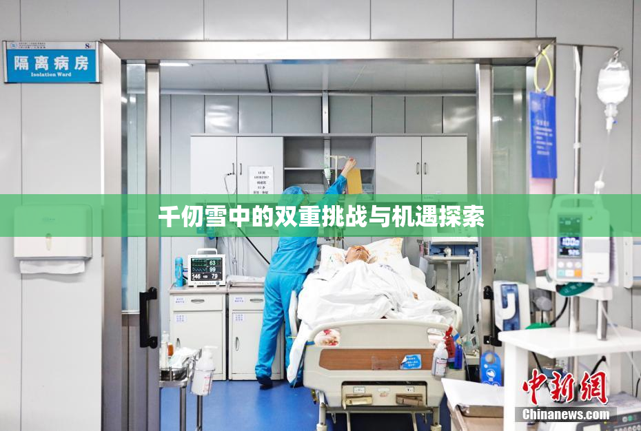 千仞雪中的双重挑战与机遇探索