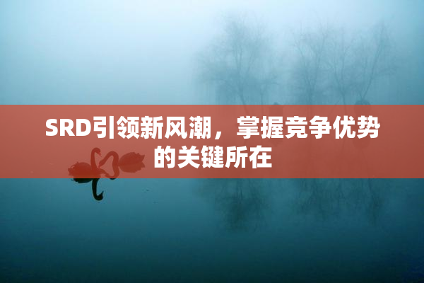 SRD引领新风潮，掌握竞争优势的关键所在