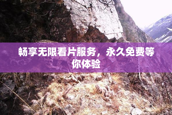 畅享无限看片服务，永久免费等你体验
